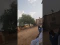 الفاشر اليوم