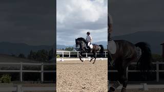 Comprar un caballo barato sale caro🐴#aguazarca #Rogelioborrayo #Melissaborrayo #caballos