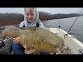 200lb 100 kg fishing challenge  3 days catching massive catfish  carp