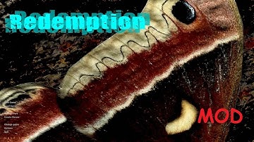 Half Life Absolute Redemption Full Game Walkthrough No Commentary