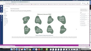 Course Orientation Video SCC -OT 166