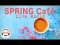 SPRING Cafe Music - Chill Out Bossa Nova & Jazz Music - 24/7 Live Radio - Music For Sleep, Study