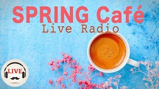 SPRING Cafe Music - Chill Out Bossa Nova & Jazz Music - 24/7 Live Radio - Music For Sleep, Study