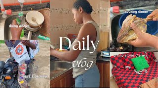 living alone diaries | days in my life | life of an introvert girl | cook with me