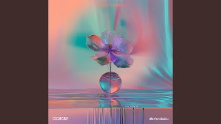 Dive in Colors (Playmix Version)
