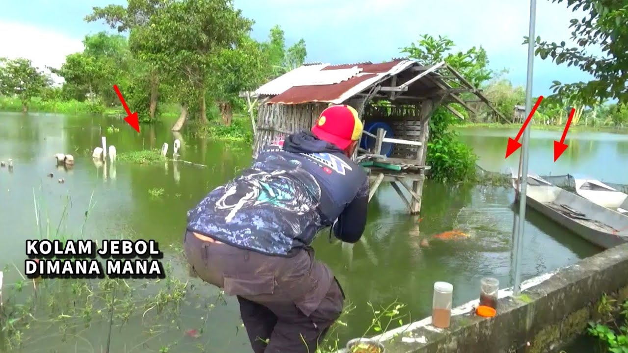 BRUTAL.. Mancing liar dihajar ikan mas besar bergantian