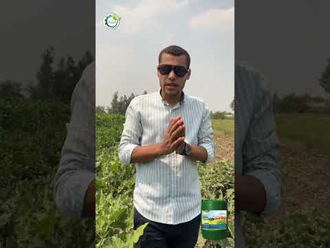 ليه تختار شركة رويال جرين تحت اشراف ا د محمد فتحي سالم أستاذ الزراعة الحيويه بجامعه السادات