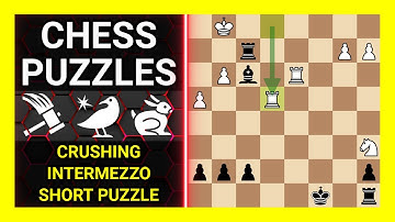 Chess Puzzles to Practice. Themes: Crushing, Intermezzo, Short puzzle. Learn Chess
