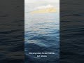 LAUT ADA SUARA MISTERIUS?! facts #factshorts #fact #faktaunik #faktadunia #fakta #faktamenarik
