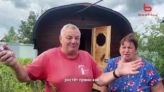 видео: Баня-бочка от Bochky Квадро Супер Люкс. Отзыв и обзор после 3 лет использования. картинка: Баня-бочка от Bochky Квадро Супер Люкс. Отзыв и обзор после 3 лет использования.