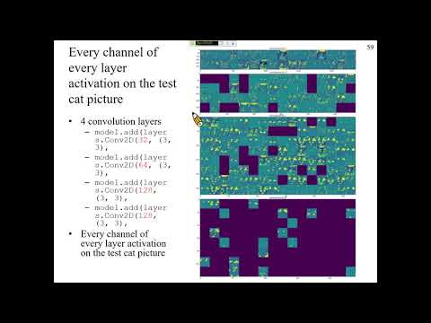 許志華機器學習 9-5-1 Visualizing intermediate activations (視覺化中間激勵函數)
