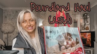 I Spent 56 In Poundland  Poundand Haul  Victoria Chic