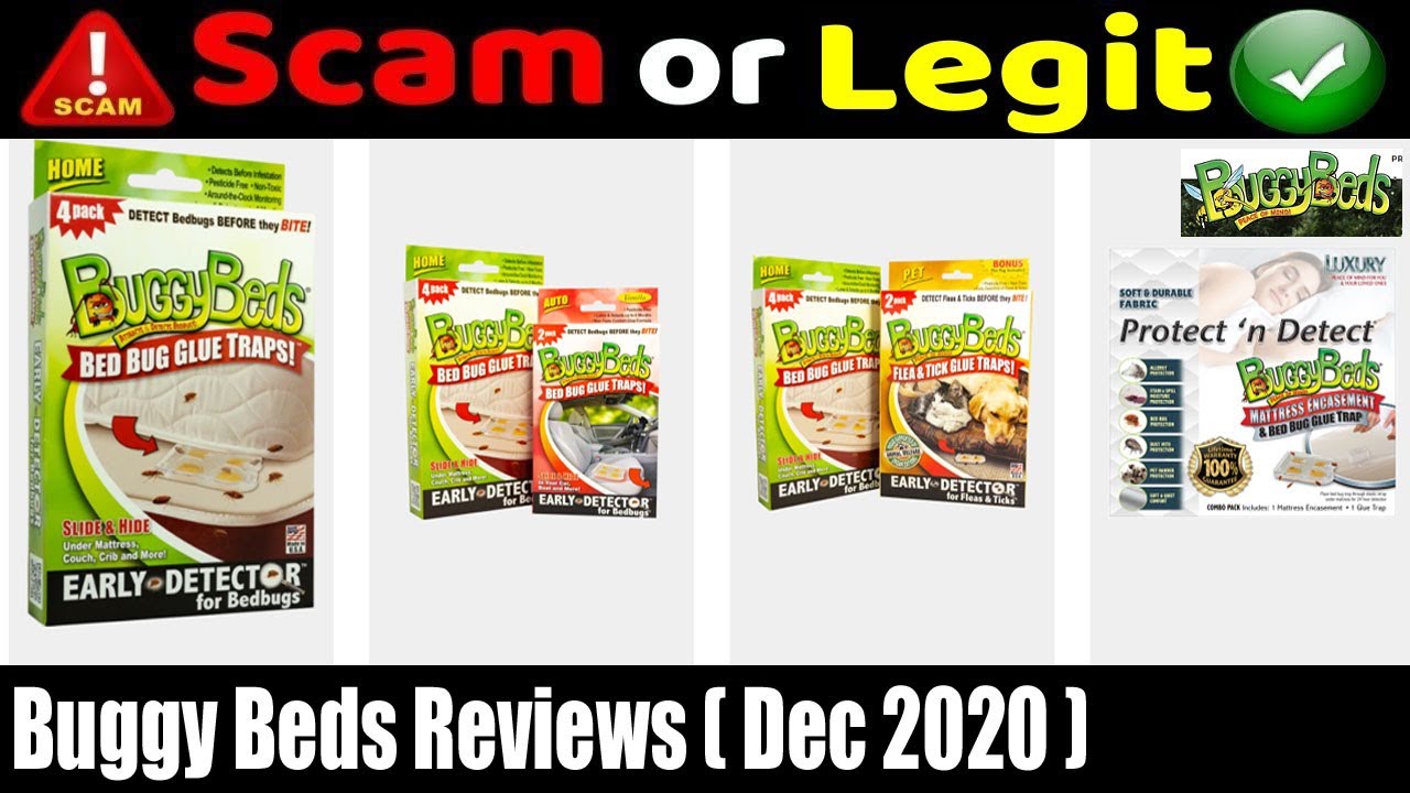 Buggy Beds Reviews Dec Is It Scam Or Trusted Website Buggy Beds Reviews Dec Is It Scam Or Trusted Website