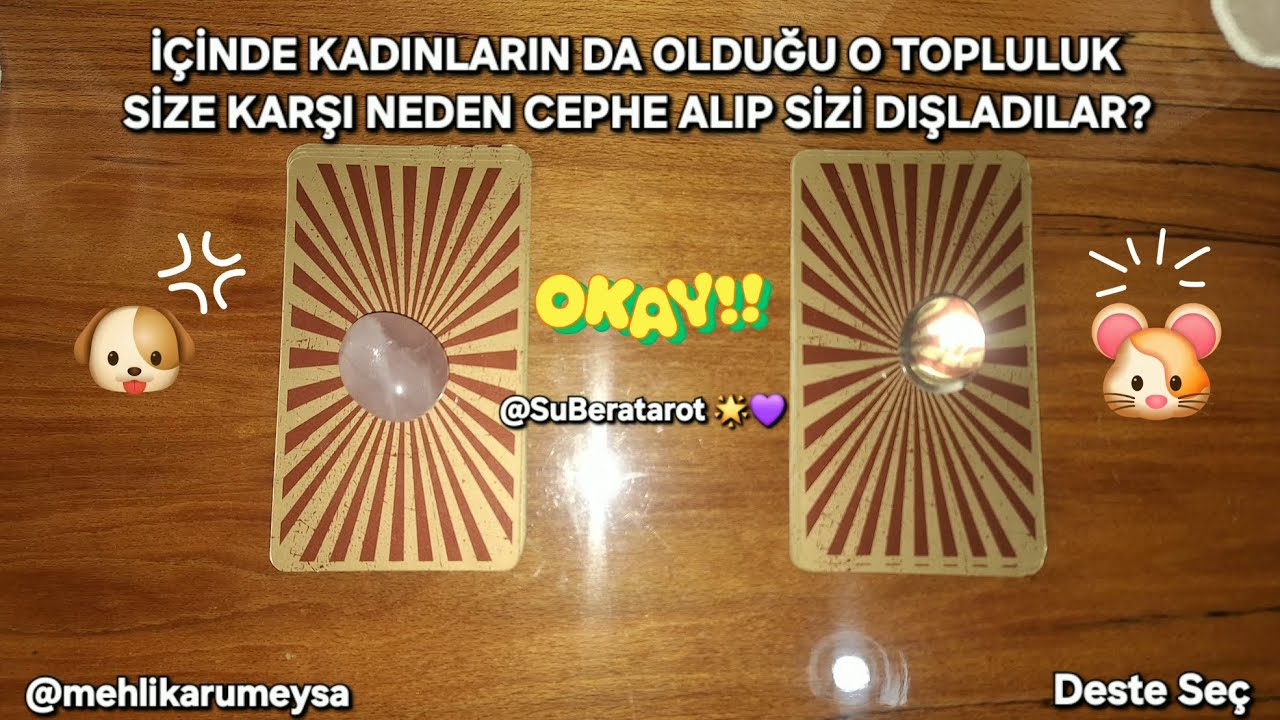 KADINLARIN DA OLDUĞU O TOPLULUK SİZE KARŞI NEDEN CEPHE ALDI? @mehlikarumeysa🪽🪽 #desteseç #tarot