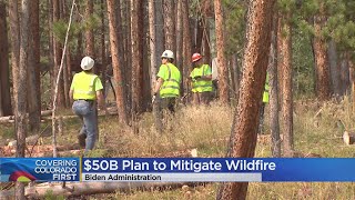 US Plans $50 Billion Wildfire Fight Where Forests Meet Suburbia