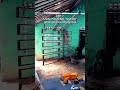golongan pria kerjo #selfimprovement #pejuangrupiah