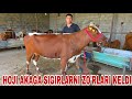 Akbarshox ukamizdan yangi partiya bogozlarni ideallari keldi 17-may, 2026