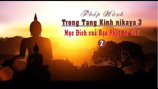 Pháp Hành Trong Tạng Kinh NIKAYA 3   Mục Đích của Đạo Phật Là Gì 2