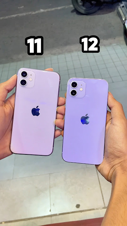 iPhone 11 Vs iPhone 12 || Camera Zoom Test! #shorts
