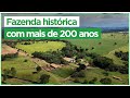 MAIS DE 200 ANOS: A Fazenda Babilônia e sua importância na história de Goiás | Pirenópolis/GO