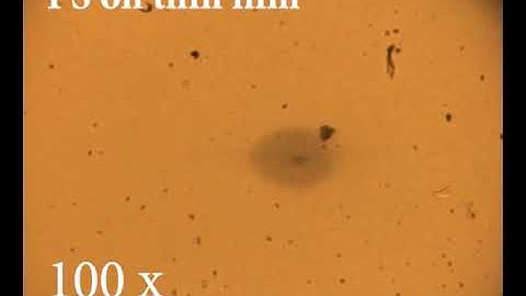 Assembly of polystyrene particles on a thermoplasmonic film: M7