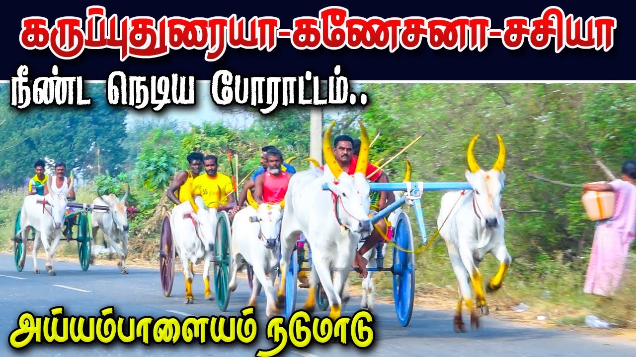 அய்யம்பாளையம் நடுமாடு திண்டுக்கல் மா 22/01/2023 ayyampalayam periyamadu ksk rekla race today rekla