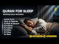 Quran Recitation in A Calming Voice I Alfatiha, Ayat Kursi, Yasin, Arrahman, Al-Waqiah