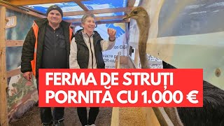 Ferma de struți pornită cu o investiție de 1.000 de euro