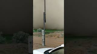 песчаная буря в Астрахани