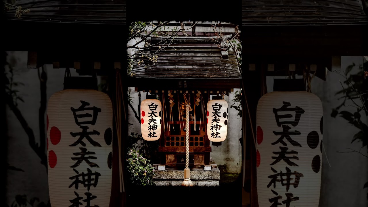 The Sparkle of Japan