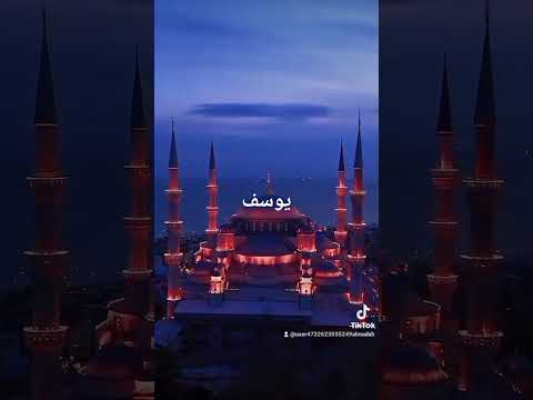 الشيخ سيد سعيد سوره يوسف