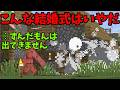 世界一最悪な結婚式