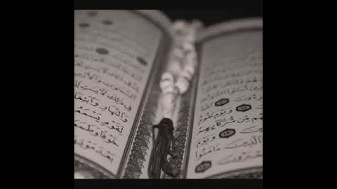 سفــــــينة الـــــنجاة واذ تأذّنَ ربك لئن شكرتم لأزيدنكم ولئن كفرتم إن عذابي لشديد ـــ سورة إبراهيم