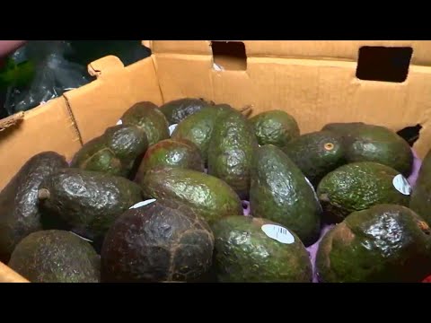 Avocado in Water Storage 'Hack' Isn't Safe. Here's What to Do Instead