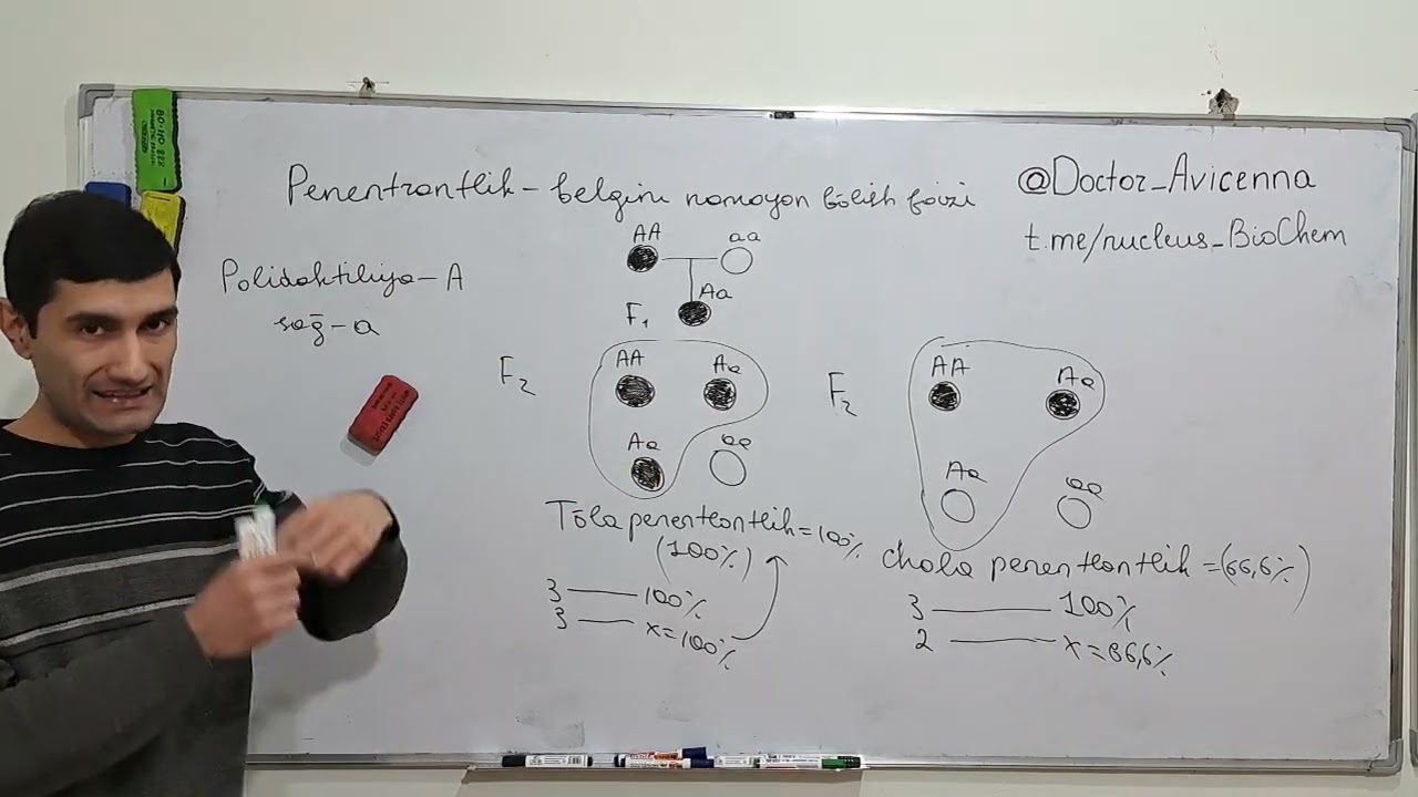 Genetika.Penetrantlik va Ekspressivlik. Penetrative and Expressiveness genetic