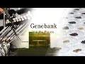 Genebank for the futurefull version 15 min