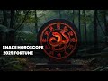 Year of the Snake Prediction 2025 Fortune
