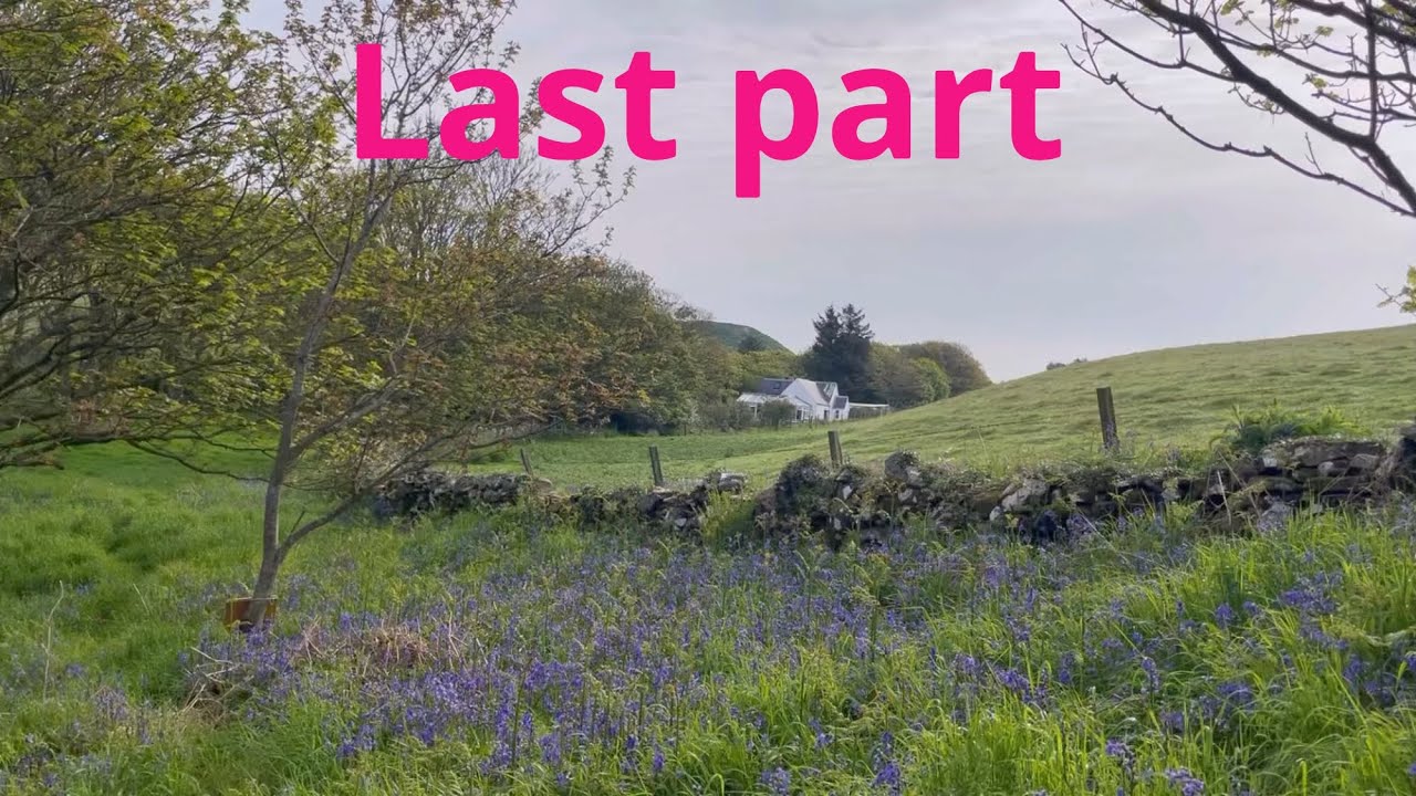 Последний день отдыха Talking 4 Dogs