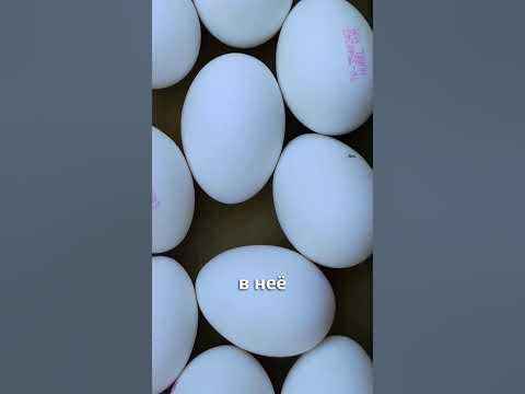 Из чего делают крабовые палочки - YouTube