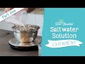 Saltwater Solution Experiment Quiz