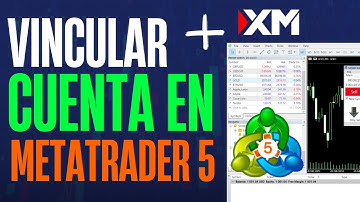 Cómo conectar XM Broker con MetaTrader 5 correctamente