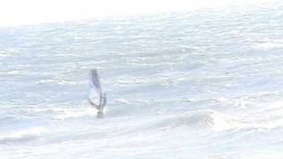 200812061255