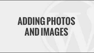 WordPress 101: Adding Photos & Images