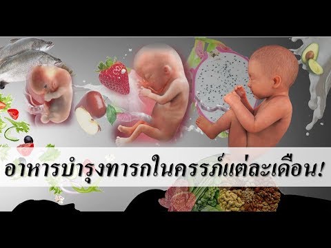 อาหารคนท้อง : อาหารบำรุงทารกในครรภ์แต่ละเดือน!! | อาหารบํารุงครรภ์ | คนท้อง Everything