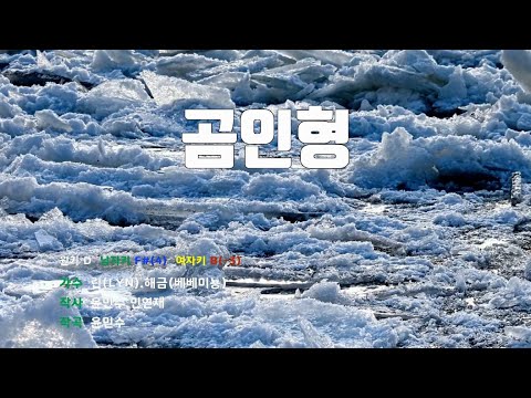 [은성 반주기] 곰인형 - 린(LYN).해금(베베미뇽)