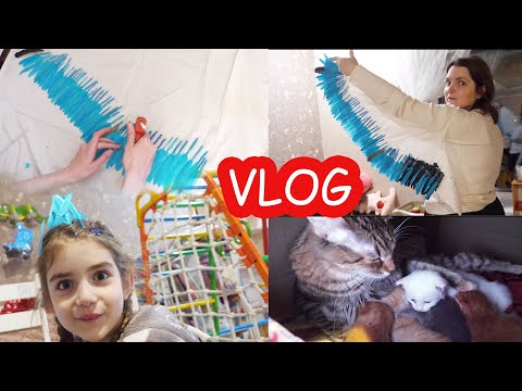 Видео: VLOG Катя делает крылья. Мурка приняла Мириного котёнка