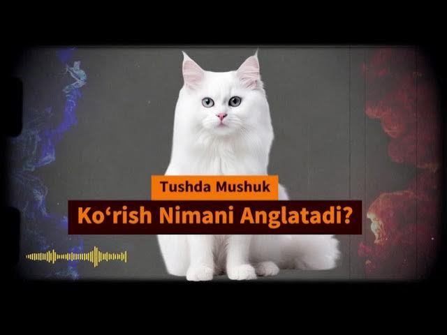 Jinsiy erotik rasmlarni koring