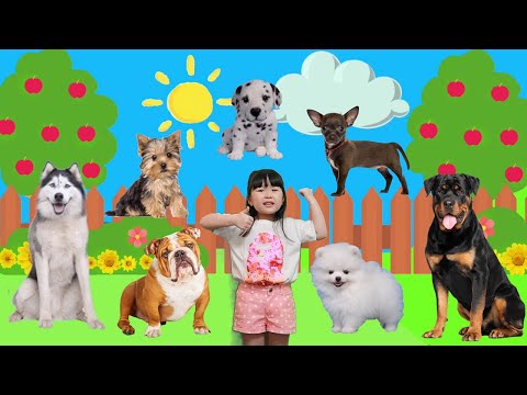 Video: Maayos Na Pamumuhay Para Sa Fido: Ang Malaking Apple Ay Nakakuha Ng Unang Dog Resort