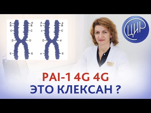 Есть PAI-1 гомозигота и мутации в фолатном цикле. Нужны ли клексан и аспирин при беременности?