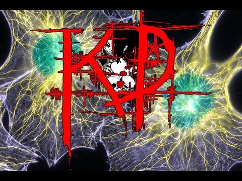 KD Album Trailer 4K